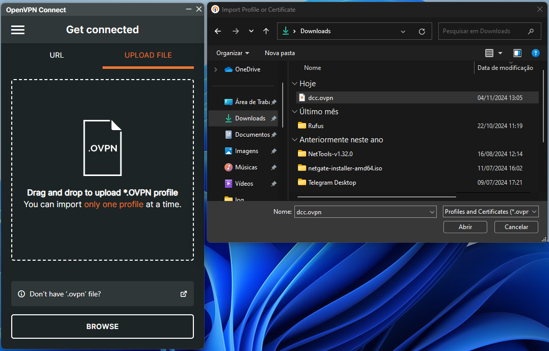 openvpn_12.png